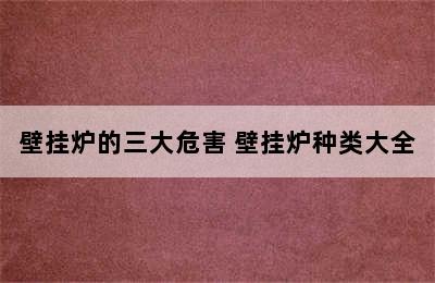 壁挂炉的三大危害 壁挂炉种类大全